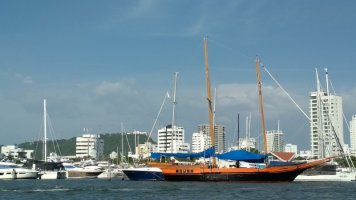 Vieux grément dans le port, devant des gratte-ciels.